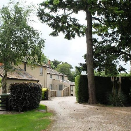 Pippin Heath House B&B Holt  Dış mekan fotoğraf